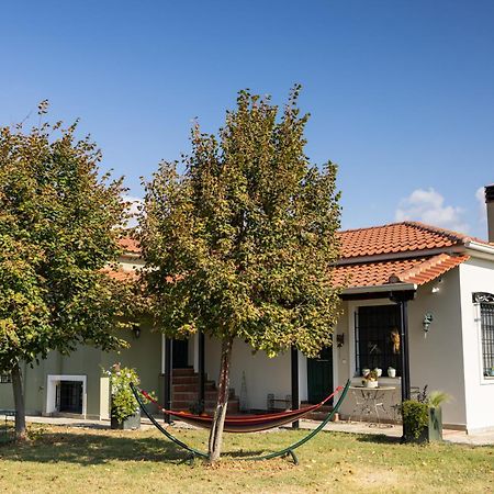 The Hobbit Hole Βίλα Τρίκαλα Εξωτερικό φωτογραφία
